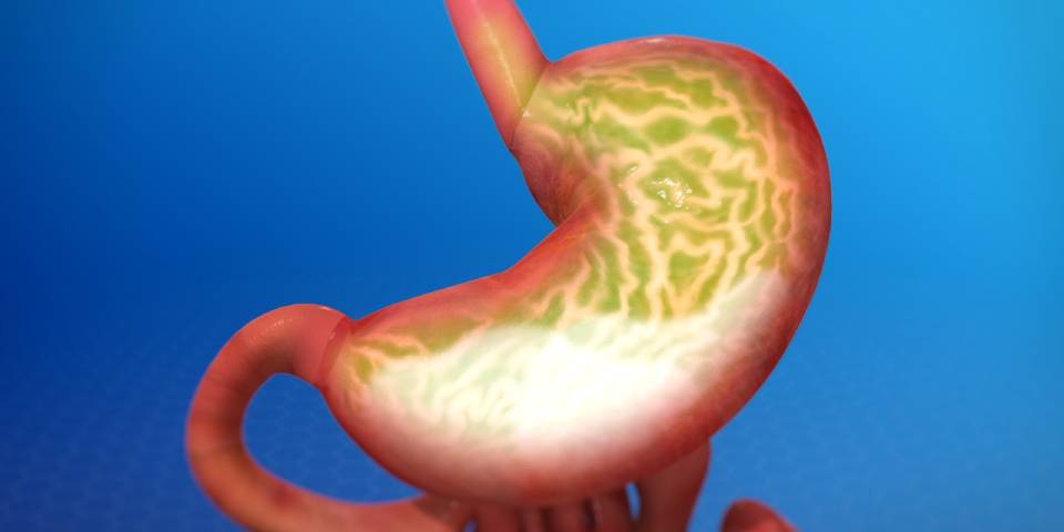 Understanding Acid Reflux, GERD, and Heartburn: What’s the Difference?