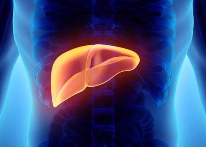 How to Detect Liver Disease Early: Essential Screening Tests