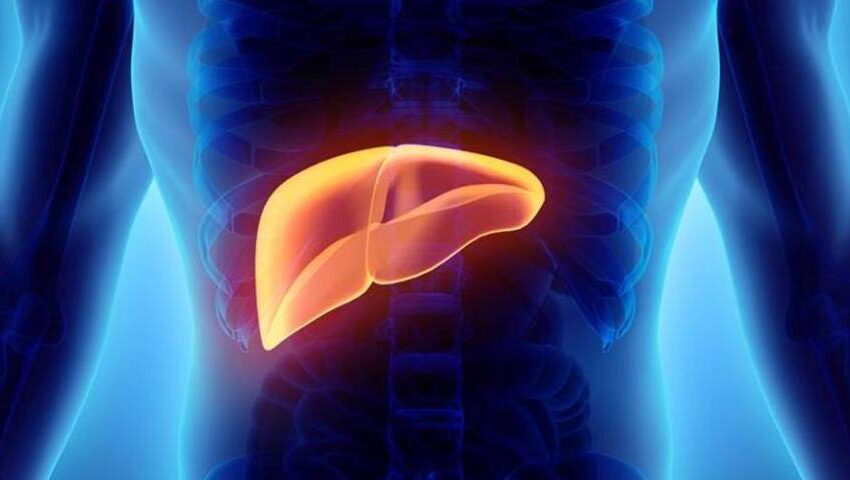 How to Detect Liver Disease Early: Essential Screening Tests