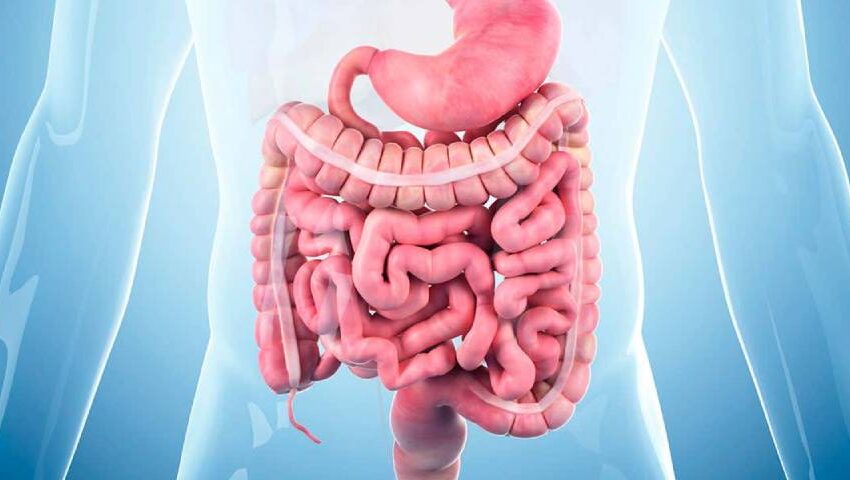 Untreated Irritable Bowel Syndrome: Is it Harmful?